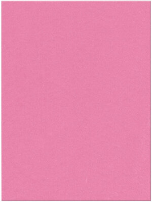 Pink - Classic Felt Kunin