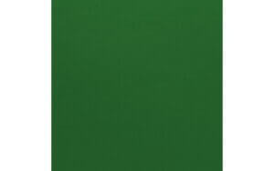 Mono Bazzill Green 12" x 12" Cardstock