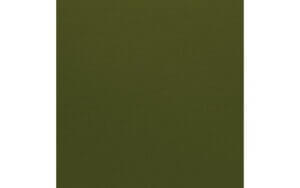 Mono Ivy/Canvas 12" x 12" Cardstock