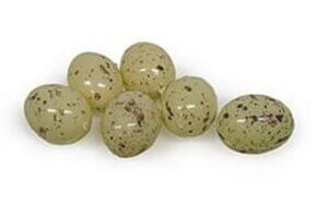 Midwest Design Bird Egg 1" Speckled Beige 6pc