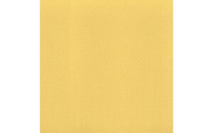 Dotted Swiss Cornmeal 12″ x 12″ Cardstock Dotted Swiss Cornmeal 12" x 12" Cardstock