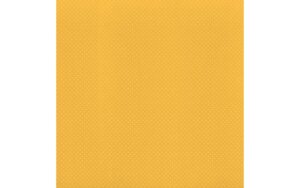 Dotted Swiss Honey 12" x 12" Cardstock