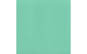 Dotted Swiss T Princess 12" x 12" Cardstock