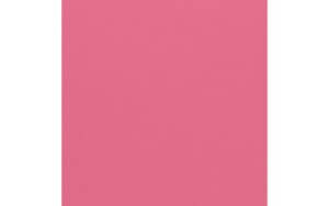 Textured Begonia 12" x 12" Cardstock