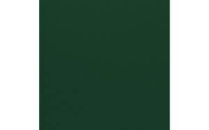 Mono Jade 12" x 12" Cardstock