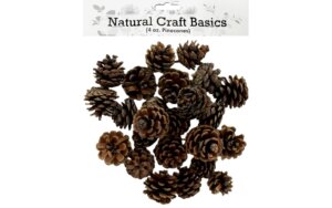 SPC Pinecones Small Natural 4oz