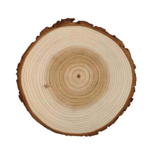 2pc 10cm Natural Pine Wood Round