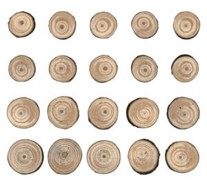 Natural Raw Edge 1" To 1.25" Idea-Ology Wood Slices 15/Pkg