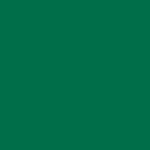 HTV Green 12in Sheet Vinyl