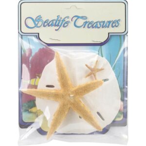 Sealife Treasures 3/Pkg