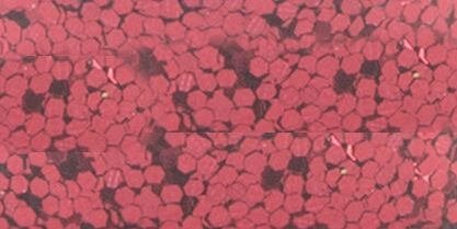 Glitter 4oz-Red