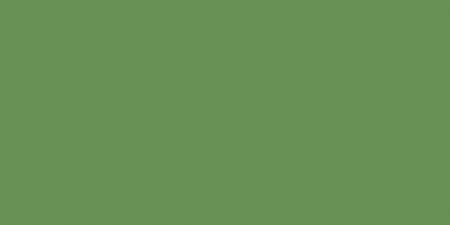 Foliage Green – Opaque – Americana Acrylic Paint 2oz