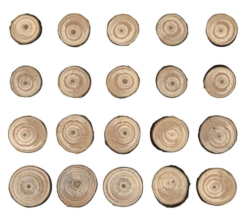 Natural Raw Edge 1″ To 1.25″ Idea-Ology Wood Slices 15/Pkg Natural Raw Edge 1" To 1.25" Idea-Ology Wood Slices 15/Pkg - Image 3