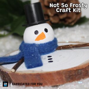 Not So Frosty Craft Kit