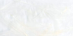 Turkey Plumage Feathers .5oz-White