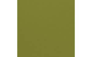 Hillary/Canvas - Bazzill Mono Cardstock 12" X 12"