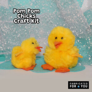 Pom Pom Chicks Craft Kit