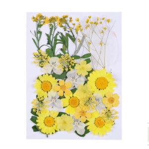 Yellow Dried Pressed Flowers
