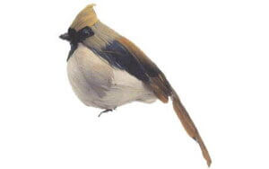 AD Fthr Fat Female Cardinal 5" 1pc