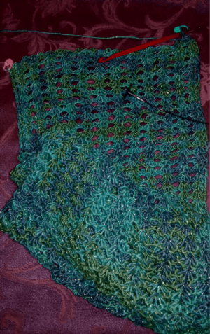 Tunisian Crochet Technique Class
