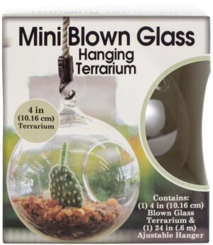 Mini Blown Glass Hanging Terrarium-