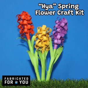 Hya Spring Flower Craft Kit