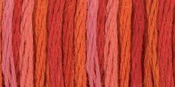 DMC 4200 Wild Fire Color Variations 6-Str 8.7yd