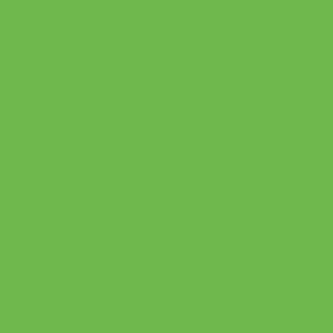 Siser HTV 12in Green Apple Vinyl