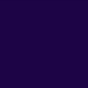 HTV 12in Purple Vinyl