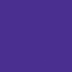 12in Purple Permanent Vinyl