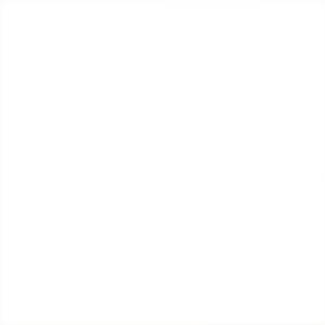 Harvest Broadcloth White 100% Premium Cotton Solid Fabric 44in Harvest Broadcloth White 100% Premium Cotton Solid Fabric 44in