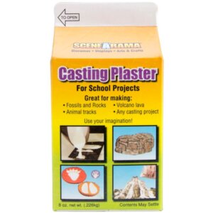 Casting Plaster 8oz-