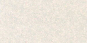 Fimo Effect Polymer Clay 2oz-Glitter White