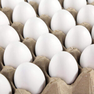 10pc Plastic life size eggs Plastic Paintable in carton