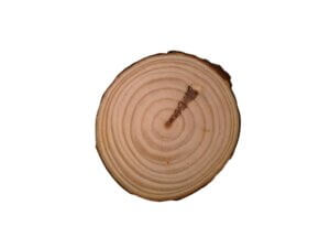 Natural Pine Wood Round 5cm 5 pack