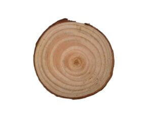 Natural Pine Wood Round 2-3cm 10 pack
