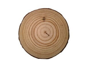Natural Pine Wood Round 7cm 3 pack