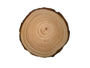 Natural Pine Wood Round 8cm 2 pack