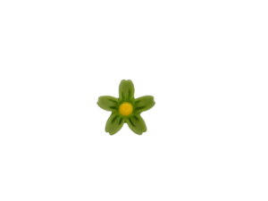 30pc Green 8mm Tiny Flowers