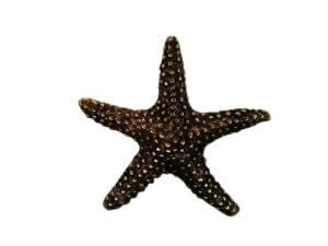 1pc Brown Sugar Starfish Metal 4cm