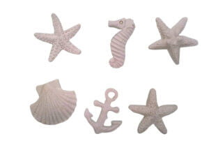 6pc White Resin Ocean Shapes 30mm