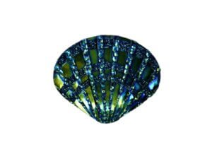 20pc 20mm Blue Iridescent Resin Shells
