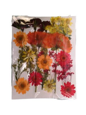 Orange Dried Pressed Flowers