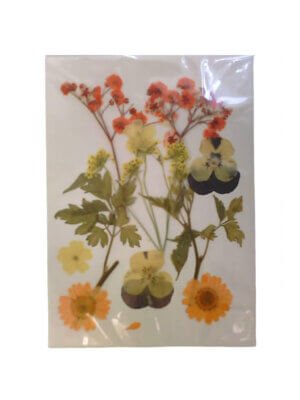 Mixed Dried Pressed Flowers