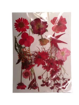 Red Dried Pressed Flowers