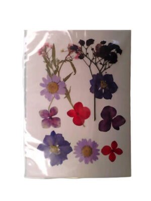 Purple Dried Pressed Flowers
