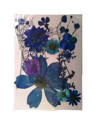 Blue Dried Pressed Flowers