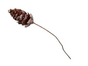 12pc Pine cone picks 2.5cmx4cm 15cm long