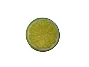 3pc 2in Lime Plastic Fruit Slices