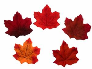 50pc Mixed Color Maple Leaves Artificial 3in